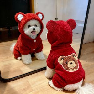Petone dOrage | Thickened Bear-Design Winter Warm Padded Coat Small Dog Cat