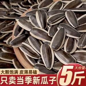 Candied Five-Spice Sunflower Seeds 10jin