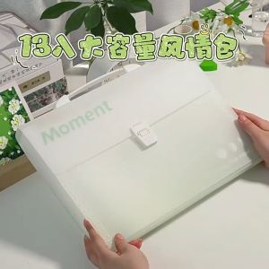 Expanding File Folders Document Organizer With 13 Pockets Document Storage Bag Letter A4 Size With Lables