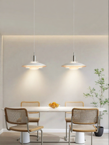 DGY | Modern Nordic Style Restaurant Pendant Light