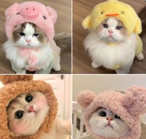 หมวกสุนัขหมีแพนด้าหมีหมูหมวกแมวสำหรับสัตว์เลี้ยงวันฮาโลวีน (33 character)