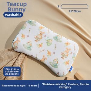 Taoqibaby | Soothing Breathable Baby Pillow All Year