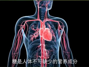 Japan Diabetic Blood Sugar Control Patch 12pcs/box Fasting blood sugar relief Promote blood circulation Prevention of diabetes complications 降糖贴