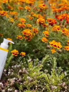 DẦU GỘI PROSEE LEO PHỤC HỒI TÓC HƯ TỔN 800ML