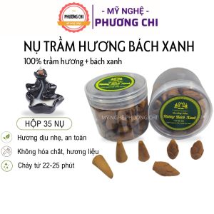 Nụ Trầm Hương BÁCH XANH Sạch Nguyên Chất Xông Nhà Đuổi Côn Trùng Chiêu Tài Lộc | Mỹ Nghệ Phương Chi
