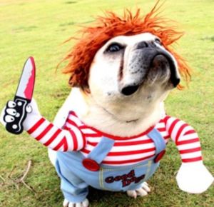 เสื้อผ้าปาร์ตี้แมวสัตว์เลี้ยงน่าสนุกชุดสำหรับสุนัขเสื้อผ้าลายตลกสำหรับสัตว์เลี้ยงเสื้อผ้าปาร์ตี้เครื่องแต่งกายคอสเพลย์