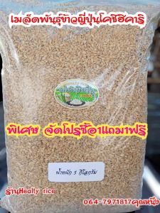 เมล็ดพันธ์ุข้าวญี่ปุ่นโคชิฮิคาริเกรดAเมล็ดพันธ์ุคัดสรรอย่างดีราคาถูกสุดคุ้ม!เพื่อเกษตรกรชาวนาอัตราการงอกสูง100%