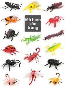 HANYIMOWAN | Scaring Realistic Insect Models