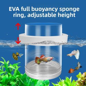 MONLEYTA | Breeding隔离Box Fish Tank Partition Net For Clownfish fry Separation Special Incubator For Female Fish Production