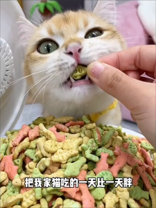 MADDIE ขนมแมว บิสกิตแคทนิป ขนมสำหรับสัตว์เลี้ยง LI0420