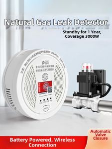 Boleesch | Gas Leak Detector With Wireless Valve Actuation