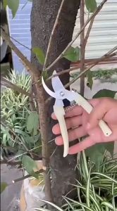 Gunting Dahan Gunting Ranting Gunting Tanaman Murah Tajam