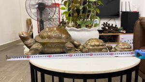 Tượng Rùa Bằng Đồng Màu Nâu Phong Thủy Trấn Trạch 3 Cỡ