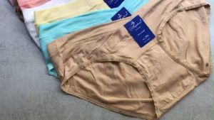 5 Quần Lót Bầu Cạp Chéo Cotton Mềm Mát Co Giãn Thoải Mái 40kg đến 70kg  MarketOnline68 5765