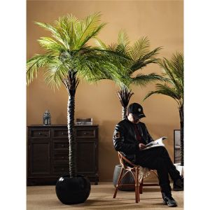 High-end Luxury Large Indoor Palm Tree Imitation Plant