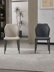 DUOBAOFUXING | Luxury Premium Modern Cat-Scratch Proof Dining Chair