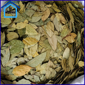 LAUREL LEAVES / BAY LEAVES ( AVAILABLE 1kilo / 500g / 250g)