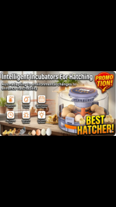 [SG Stock] Intelligent Egg Incubator | 5 Smart Modes One-Touch Operation | Automatic Egg Turning & Humidity Control | High Hatching Success Rate for Chicken Duck & Quail Eggs