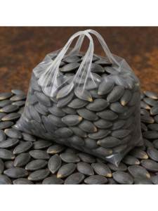 Fresh Tea-scented Salty Large Pumpkin Seeds