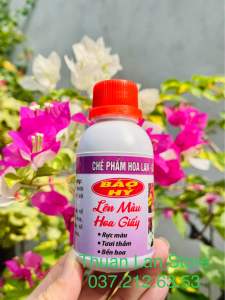 Chế Phẩm Báo Hỷ Lên Màu Hoa Giấy Giúp Bền Hoa Màu Sắc Rực Rỡ Chống Rụng Hoa lọ 100ml