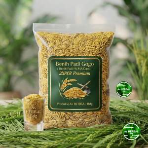 Benih padi gogo darat huma darat gogo 250 gram-az