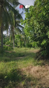 EXP EMO COLOR PRO x8 137m / EMO x8 150m BRAIDED LINE