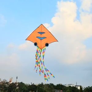 Diều Trẻ Em Hình Mực Rainbow