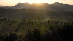 หูฟังบลูทูธ KINGSTAR K039 แบบ in-ear สุดยอดหูฟังที่แข็งแรงที่สุด หูฟังไร้สาย 5.0 แท้ 100% เบสหนัก เสียงใส กันน้ำ