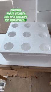 Hydroponics 9-Hole Grow Box: A Comprehensive Guide