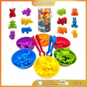 DREAMToy Anak Classification Toy with FREE Sorting Bowl (TABUNG) and 2 Tweezers Counting and Sorting Montessori Game dengan Mangkok sortir dan jepitan