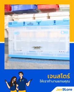 Jenstore EFFIลังพลาสติกพับได้ พร้อมฝา สีใส 6544LID-F