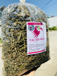 1kg Cây Ích Mẫu khô hàng loại 1 giúp điều hòa kinh nguyệt