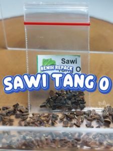 Benih Sawi Tang O Unggulan Berkualitas biji bibit repack Ho Taiwan Garland Chrysanthemum sayur sayuran hijau hydroponik hidroponik tanaman pot