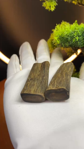 Mặt trầm hương Kì Hải Nam chìm nước dầu đen 8-9g trên mặt 127