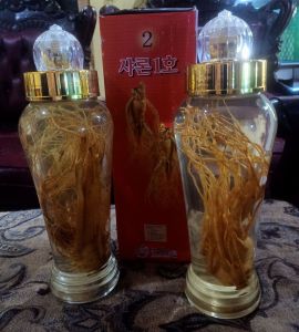 Gingseng merah Korea lengkap