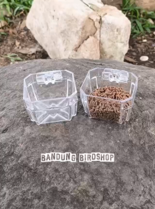 CEPUK PAKAN BURUNG NO 1 MODEL BARU MOTIF X BENING LEBIH ELEGAN COCOK UNTUK MURAI KACER ANIS CUCAK IJO