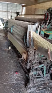 Chiếu cói tự nhiên chiếu đậu trắng Thái Bình may viền biên nằm êm lưng chống mất ngủ đầy đủ size