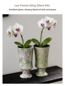 LANLIN | Retro Ceramic Flower Pot For Phalaenopsis Ornamentation