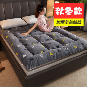 Nệm Dày Lót Nhung Cừu Mềm 18m15m Giường Đôi Cho Sinh Viên Nệm Đơn 09m Ký Túc Xá Nhà Dân Dụng Nệm Đơn Giản Hiện Đại