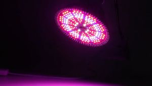 Đèn Led Trồng Cây Chuôi E27 Chip Led SMD 5730 Tản Nhiệt Nhôm Quang Hợp Trong Nhà