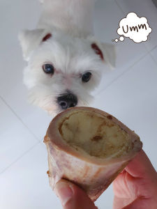 กระดูกขัดฟันสุนัข (หมาชอบมาก) กระดูกวัว กระดูก หมา แทะ umm ขนมหมา (1ชิ้น) กระดูกสุนัข กระดูกสุนัข ราคา - Lazada