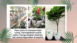 LAVA Plastic Flower Pot - VIERIA Series