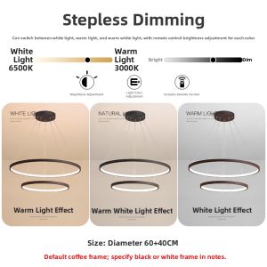 Modern Minimalist Stylish Pendant Light