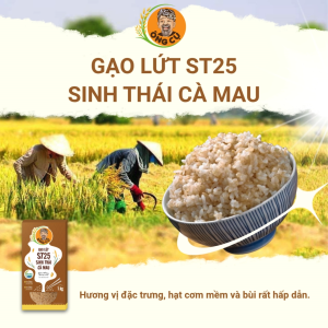Gạo Lứt ST25 Sinh Thái Cà Mau - Chính Hãng - Hũ 1kg