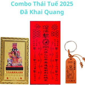 Combo Phù Thái Tuế Tổng Hợp 2025 Hóa Giải Thái Tuế Gia Tăng Tài Lộc Giúp Cuộc Sống Bình An Hạnh Phúc Cho Tuổi Dần Thân Tỵ Hợi Năm Ất Tỵ 2025
