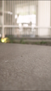 GAMIS ETHICA AYUMI 546 DRESS KEKINIAN TERBARUU DAILY CASUAL KULIAH PREMIUM KONDANGAN TERMURAHHH