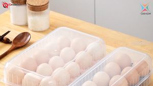 Oxihom Tempat Telur Kotak Telur Penyimpanan Telur Egg Box