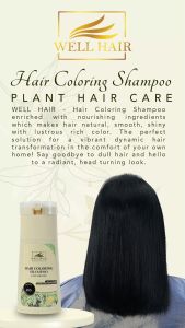 Well Hair Hair Coloring Shampoo Easy Coloring Infused with Plant Exracts Hair Dye Shampoo White Hair Into Black 400ML WH-R210