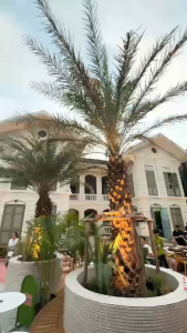 Two Palms Pineapple Hot Sauce - Medium Heat - 85ml ซอสพริกปาล์มคู่สับปะรด เลเวล2 เผ็ดปานกลาง