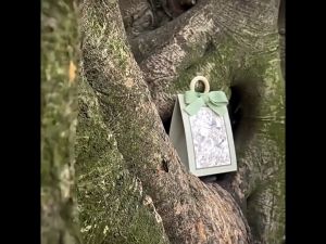 (5pcs) CANDY BOX Wedding Party Birthday Goodies Gift Souvenir Doorgift Candies Diamond Shape Kotak Murah Gula-Gula